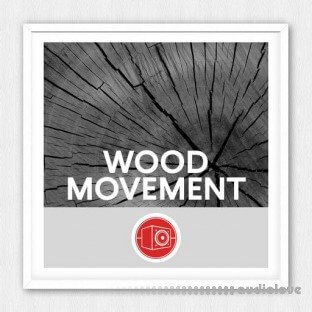 Big Room Sound Wood Movement