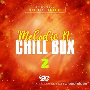 Big Citi Loops Melodic N Chill Box 2