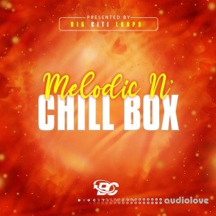 Big Citi Loops Melodic N Chill Box 1