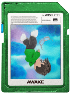 WavSupply Noah Mejia Awake (One Shot Kit + Vocal Chops)