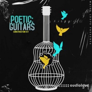 Major Loops Poetic Guitars