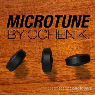 Reason RE Ochen K MicroTune