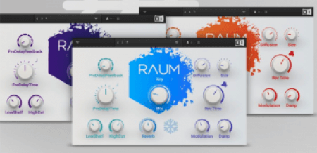 Native Instruments Raum