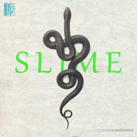 Loops 4 Producers Slime Vol.1