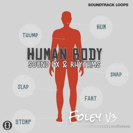 Soundtrack Loops Foley V3 Human Body Sound Effects & Rhythms