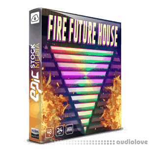 Epic Stock Media Fire Future House