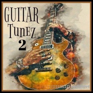 Innovative Samples Guitar Tunez 2