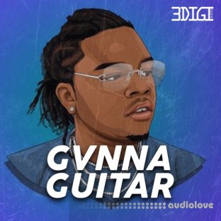 3 Digi Audio GVNNA GUITAR