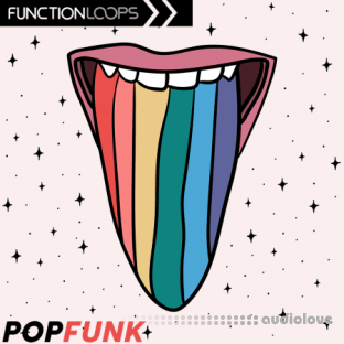 Function Loops Pop Funk