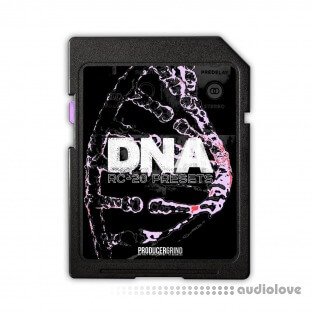 ProducerGrind DNA RC-20 Presets