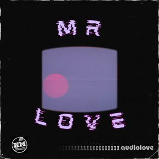 DiyMusicBiz Mr. Love RnB Sample Pack