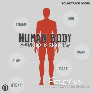 Soundtrack Loops Foley V3 Human Body Sound Effects & Rhythms