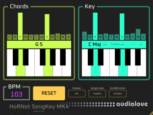 HoRNet SongKey MK4