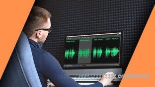 Udemy Audio Editing with WavePad FREE Audio Editing Software