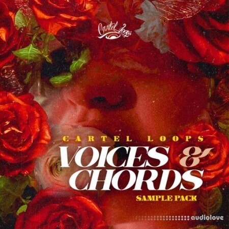 Cartel Loops Voices And Chords