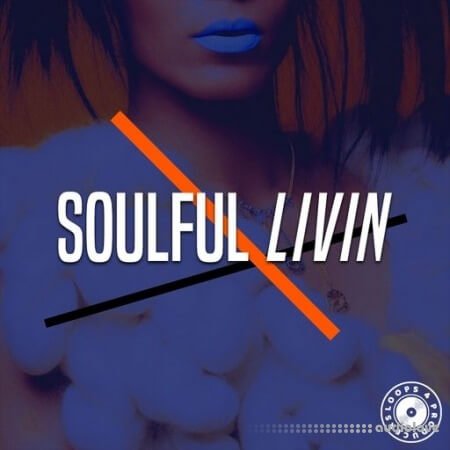 Loops 4 Producers Soulful Lovin