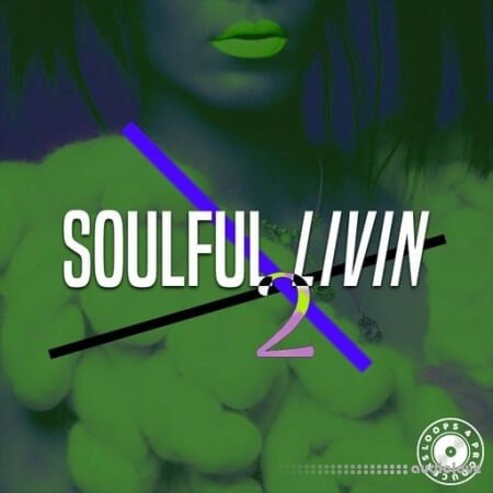 Loops 4 Producers Soulful Livin 2