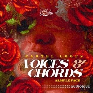 Cartel Loops Voices And Chords