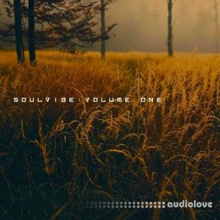 KAN Samples Soulvibe Vol.1