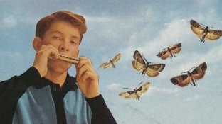 Udemy Learn 15 Tunes On Harmonica With Zero Harmonica Experience