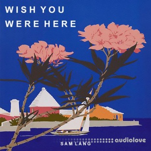 Ztar Audio Wish You Were Here