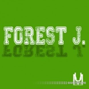 Loops 4 Producers Forest J