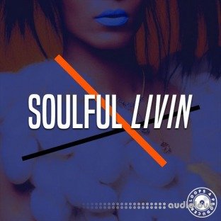 Loops 4 Producers Soulful Lovin