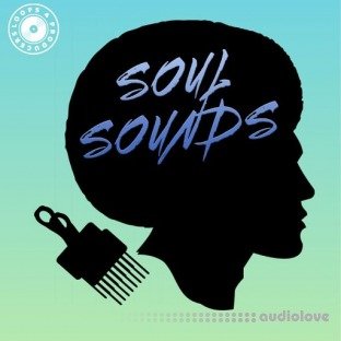 Loops 4 Producers Soul Sounds