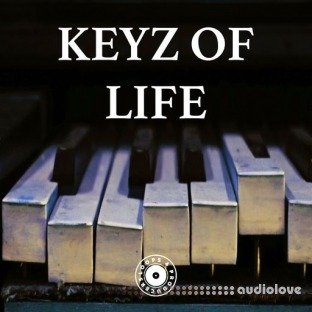 Loops 4 Producers Keyz Of Life