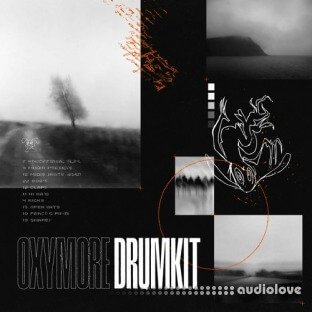 whatever51 Oxymore Drumkit