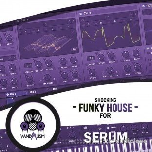 Vandalism Sounds Shocking Funky House For Serum