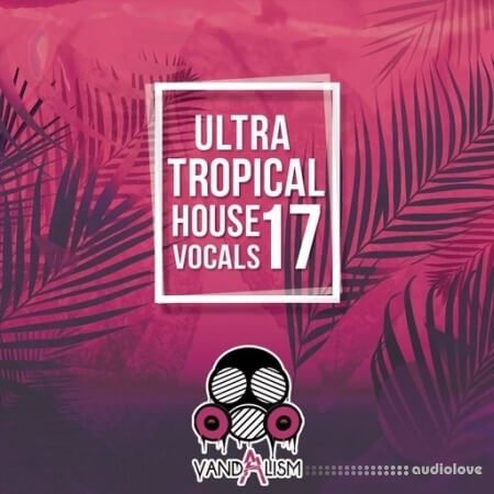 Vandalism Ultra Tropical House Vocals 17