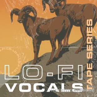 Lazerdisk Tape Series Lo-Fi Vocals