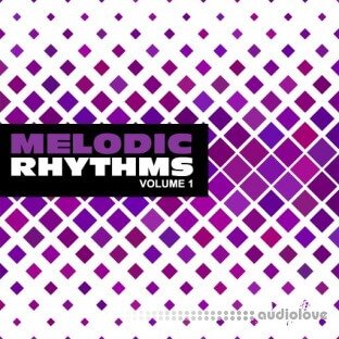 New Beard Media Melodic Rhythms Vol.1