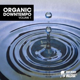 New Beard Media Organic Downtempo Vol.1