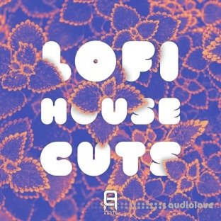 Ultimate Loops LoFi House Cuts