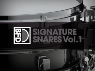 inMusic Brands BFD Signature Snares Vol.1