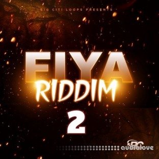 Big Citi Loops Fiya Riddim 2