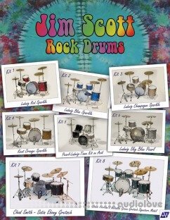 Platinum Samples Jim Scott Rock Drums Vol.2