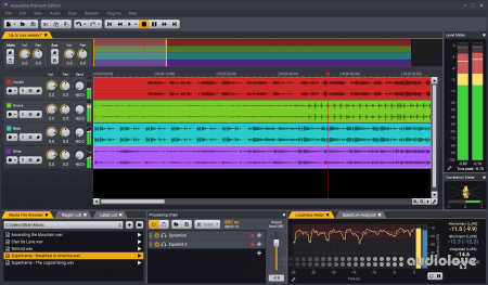 Acon Digital Acoustica Premium Edition