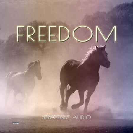 Strategic Audio Freedom