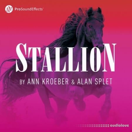 Pro Sound Effects Stallion