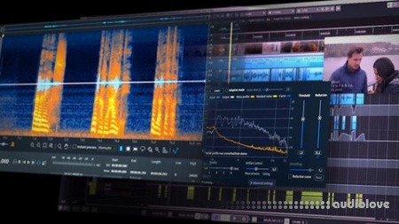 Udemy Audio-Postproduction / Einstieg in die Filmvertonung