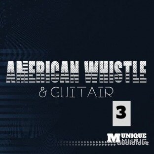 Innovative Samples American Whistle & Guitar 3