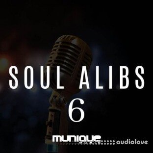 Innovative Samples SOUL ALIB 6