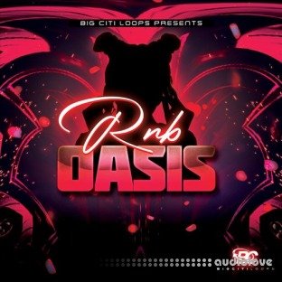 Big Citi Loops RnB Oasis