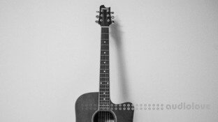 Udemy Complete Acoustic Guitar Beginners Course