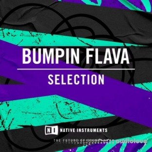 Native Instruments Bumpin Flava