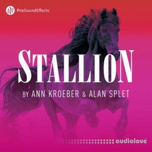 Pro Sound Effects Stallion