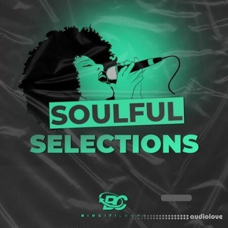 Big Citi Loops Soulful Selections